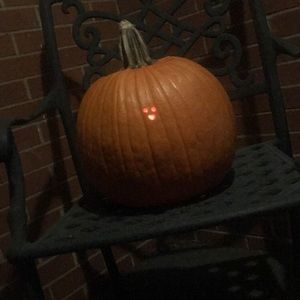 Meet your Posher, Sam